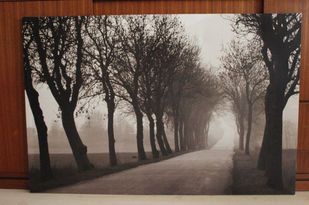 Foto op canvas 'Misty Road' van Michael Busselle, Ikea, Huis en Inrichting, Woonaccessoires | Schilderijen, Tekeningen en Foto's