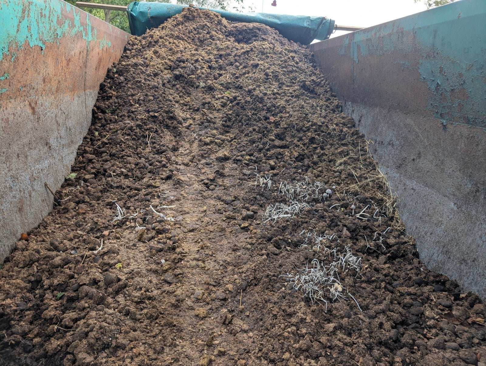 Gratis paardenmest voor uw tuin, vlak aan A12, Ophalen