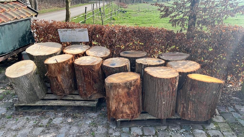Nieuwe lading Hakblokken te koop, 3 tot 6 m³, Ophalen, Eikenhout, Blokken