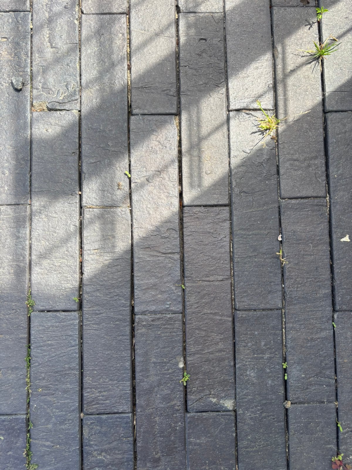 Klinkers tegels - terras & tuin- gratis af te halen, Ophalen, Overige materialen, Gebruikt, Klinkers