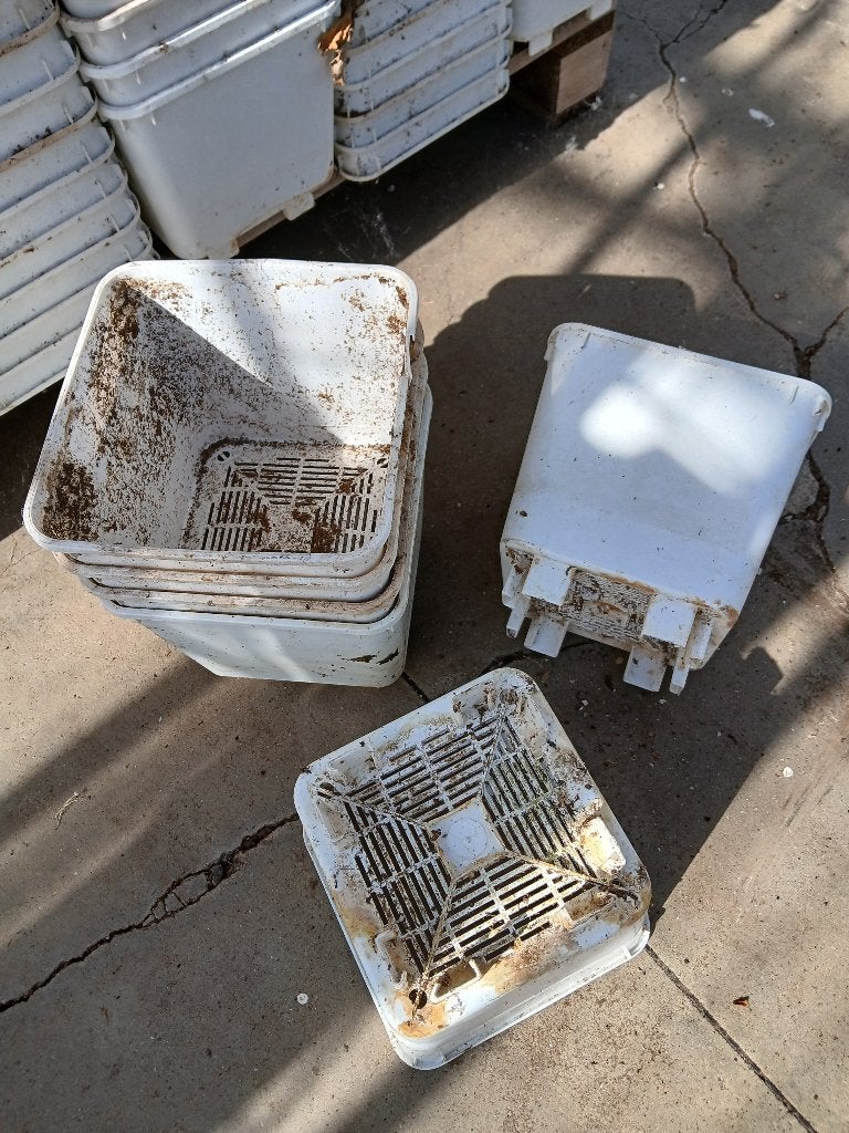 Partij witte BATO vierkante potten, Tuin en Terras, Ophalen, Kunststof, Gebruikt, Vierkant
