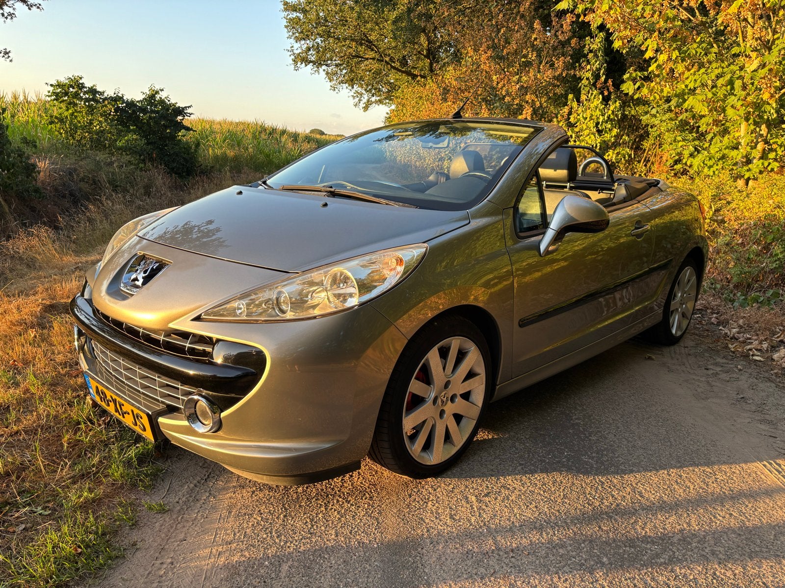 Leuke en sportieve Peugeot 207 cc Cabrio 1.6 16V 2007, Voorwielaandrijving, Zwart, Cabriolet, 4 stoelen