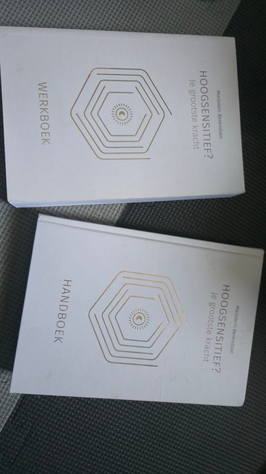 Hoogsensitief? Je grootste Kracht, Nieuw, Ophalen of Verzenden, Instructieboek, Meditatie of Yoga