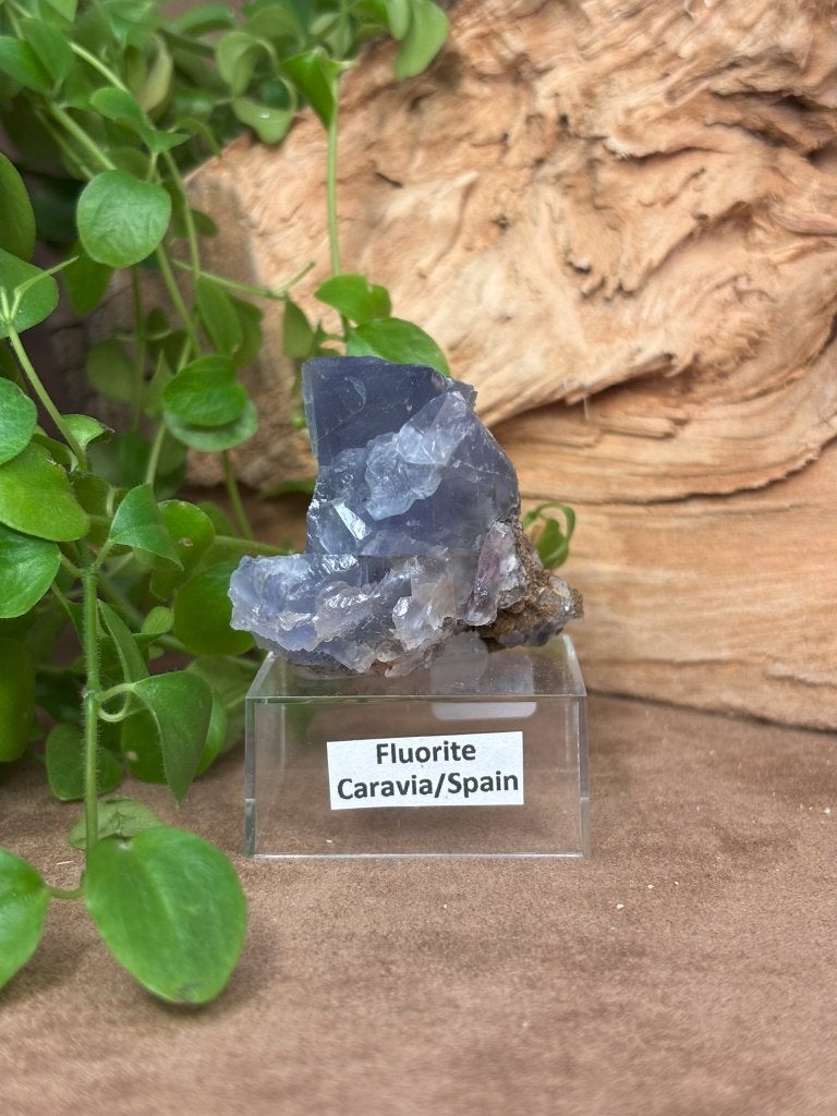 Fluoriet uit Caravia, Ophalen of Verzenden, Mineraal