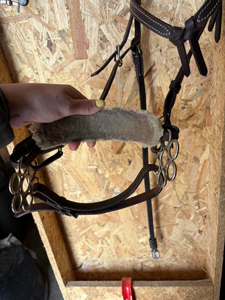 Western hoofdstel - anatomisch kopstuk - bloem hackamkore, Ophalen of Verzenden, Gebruikt, Western
