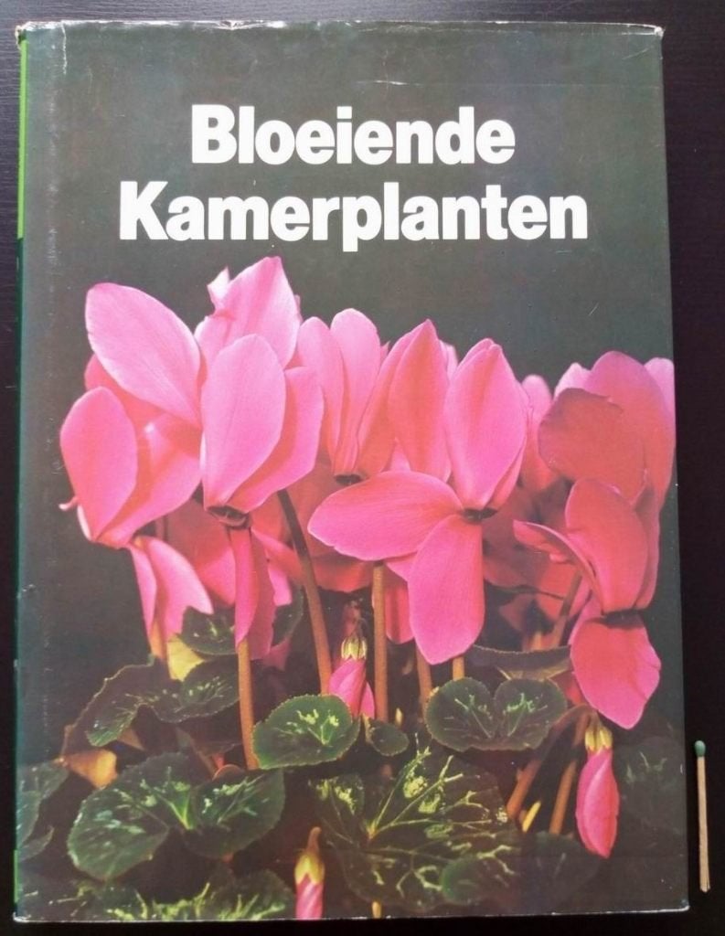 Bloeiende Kamerplanten, Ophalen of Verzenden, Gelezen, Kamerplanten