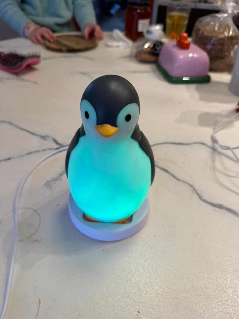 Zazu Pam Slaaptrainer, Verzenden, Zo goed als nieuw