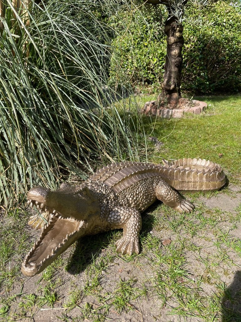 Beeld krokodil antiek goud, tuin, zwembad, vijver, 100cm, Tuin en Terras, Ophalen, Nieuw, Kunststof, Dierenbeeld