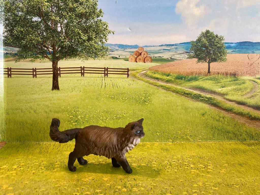Schleich Ragdoll kat, Verzamelen, Ophalen of Verzenden, Zo goed als nieuw, Hond of Kat, Beeldje of Figuurtje