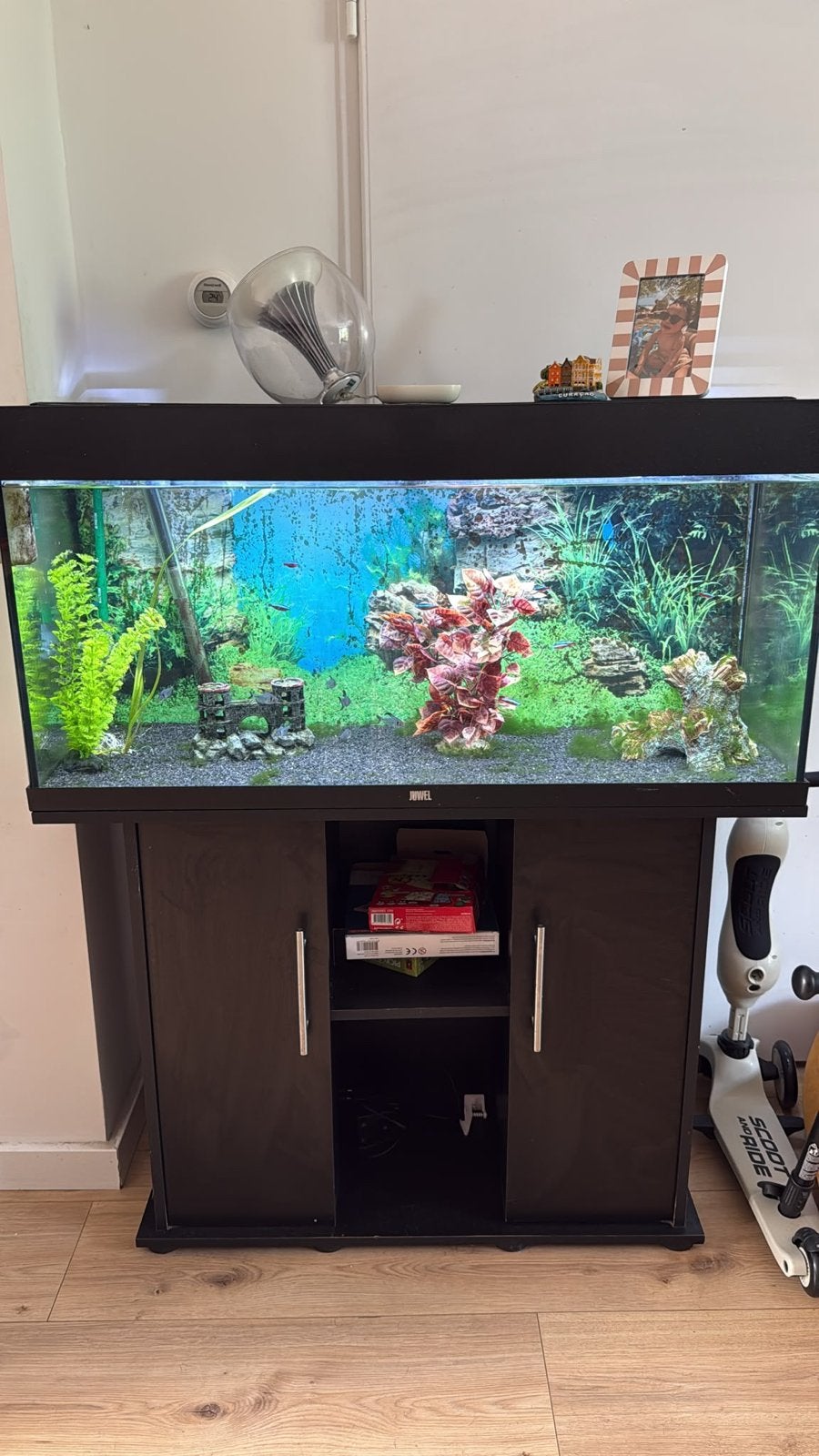 Juwel aquarium, Ophalen, Gebruikt, Gevuld zoetwateraquarium, Inclusief vissen