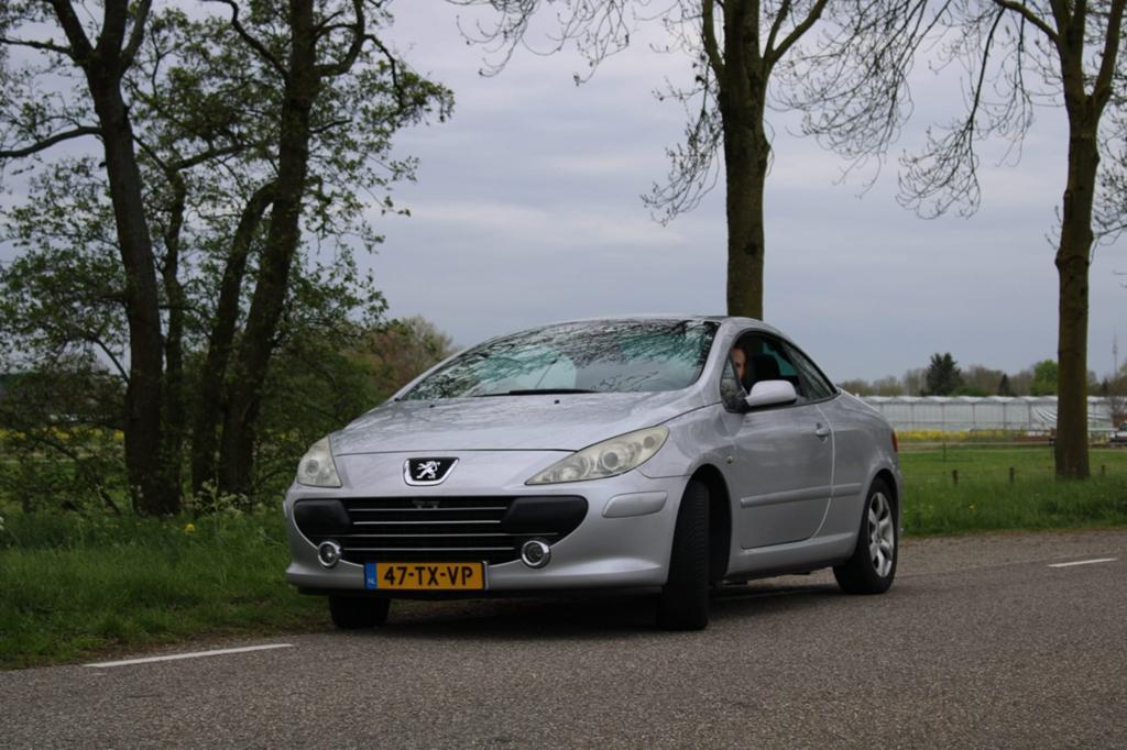 Peugeot 307 2.0 16V CC 2006 Grijs, Ophalen