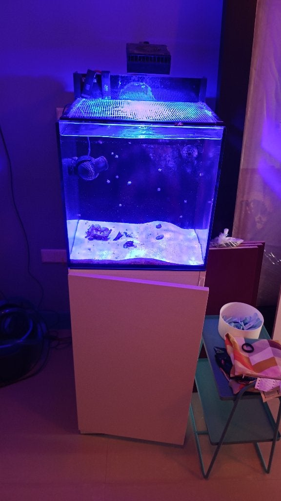 Red Sea Max Nano (2021) COMPLEET met Meubel + Veel Extra's!, Dieren en Toebehoren, Ophalen, Gebruikt, Leeg aquarium, Red Sea