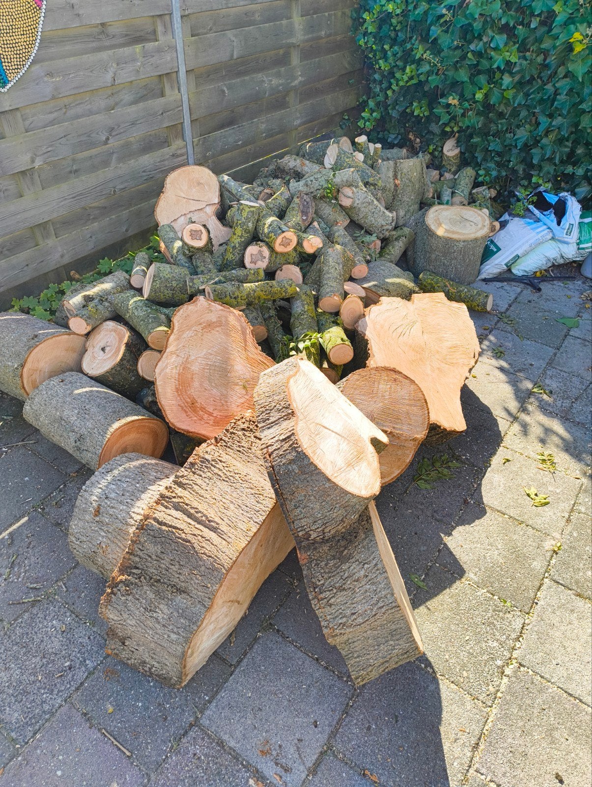 Vers gekapt hout: Stammen en takken van diverse bomen, 6 m³ of meer, Ophalen, Overige houtsoorten, Stammen