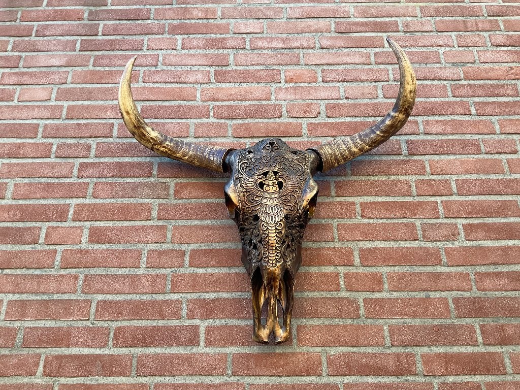 Texas Longhorn Skull schedel buffel, Huis en Inrichting, Wandsculptuur, 71 cm, 63 cm, Zo goed als nieuw