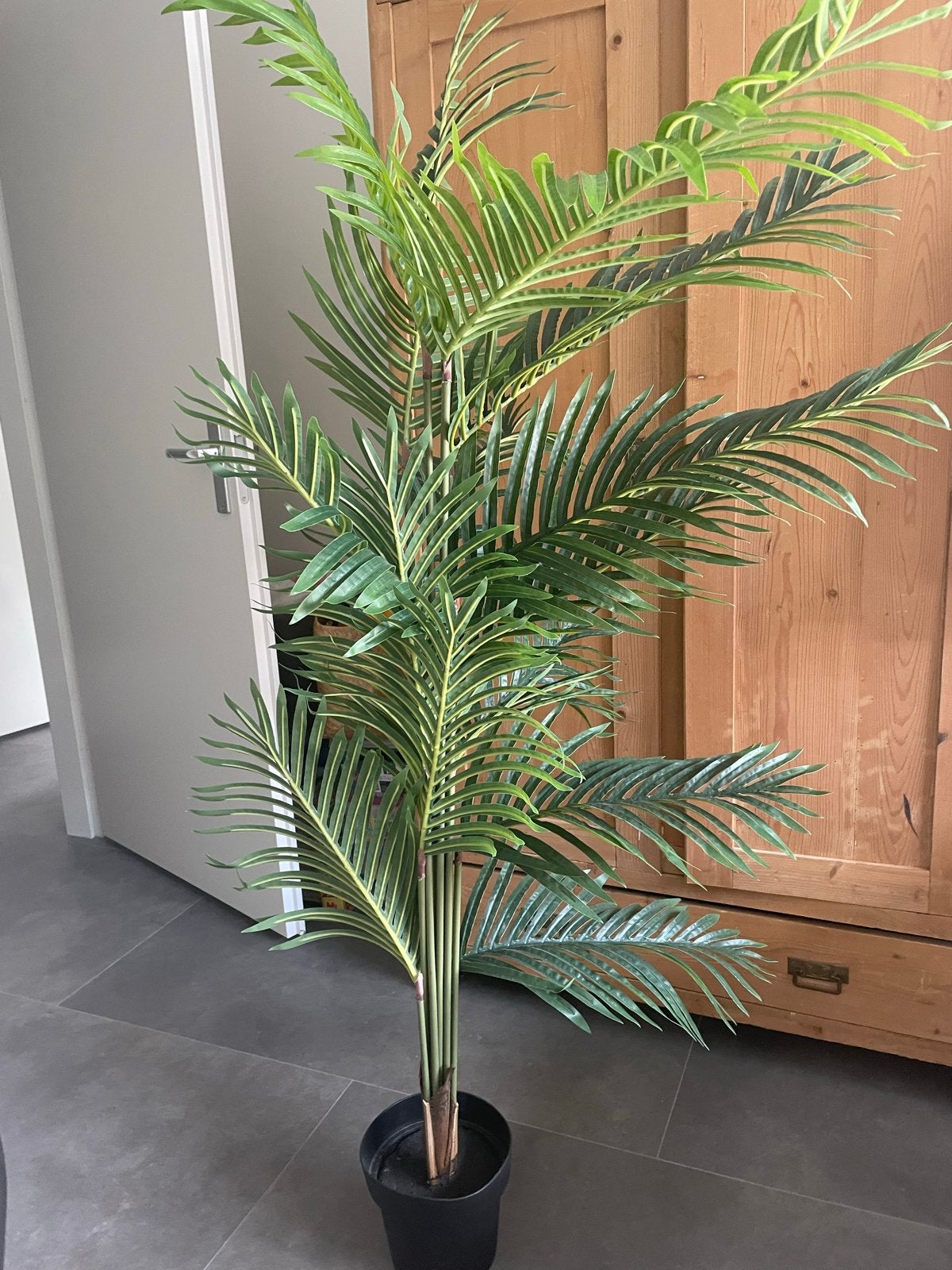 Kunstpalm - Z.g.a.n. 160 cm hoog, Ophalen, Binnen, Groen, Kunstplant