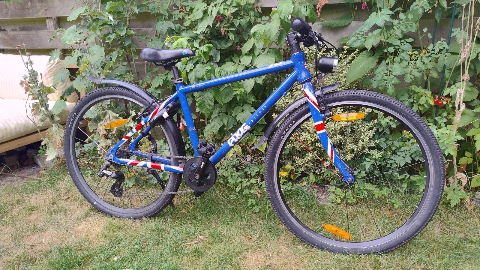 Frog bike 73, Ophalen, Gebruikt, Overige merken