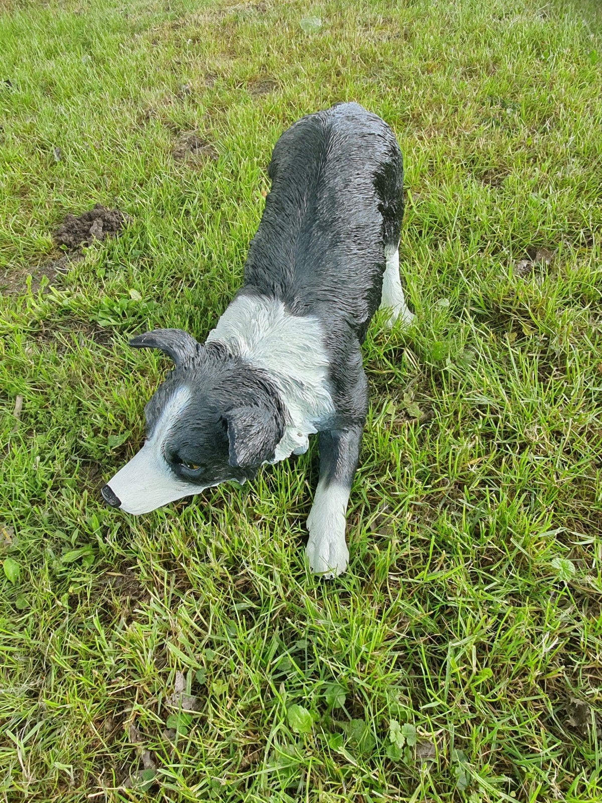 border collie, Ophalen, Dierenbeeld, Kunststof, .