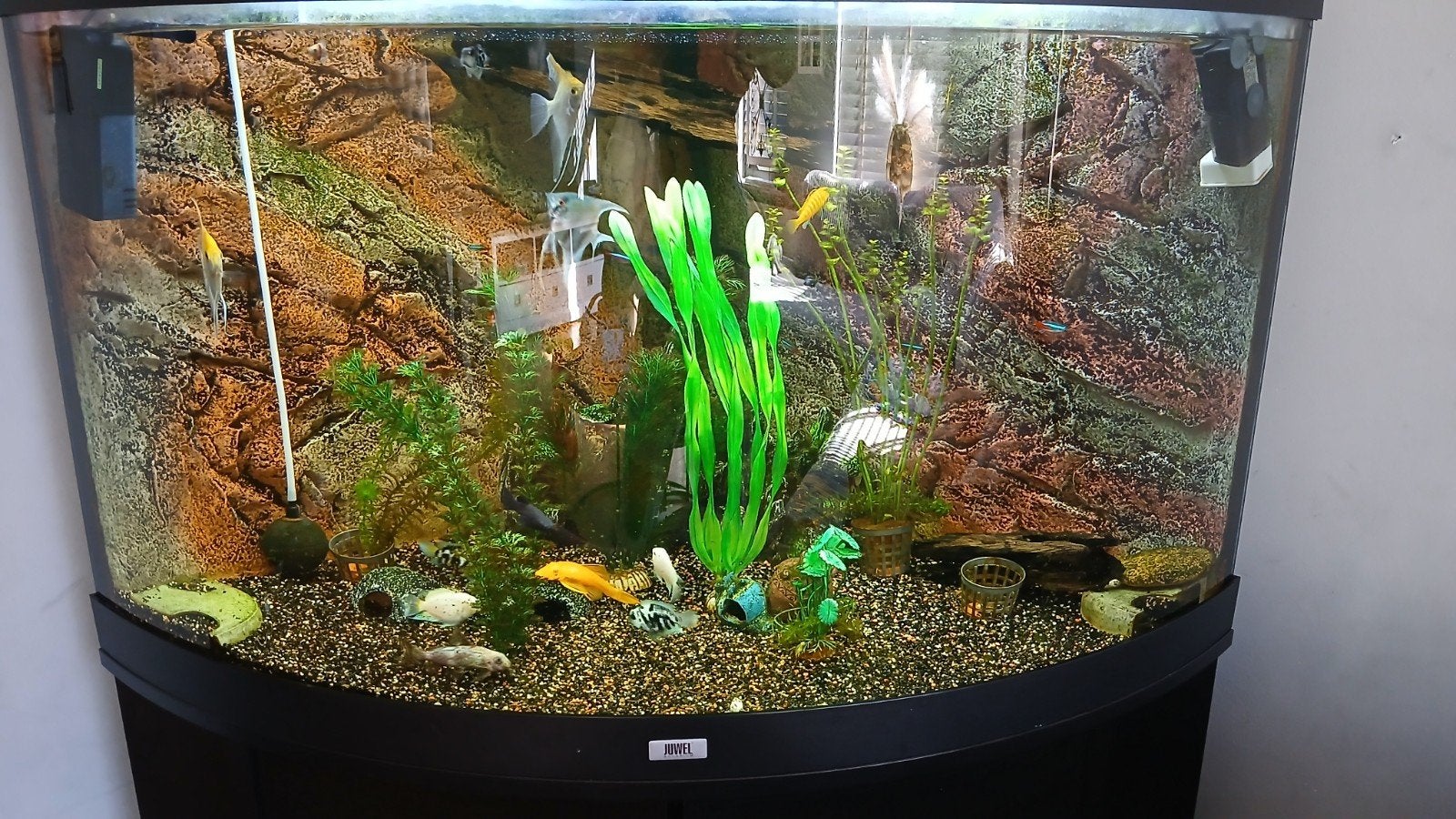 juwel aquarium 190 ltr, Ophalen