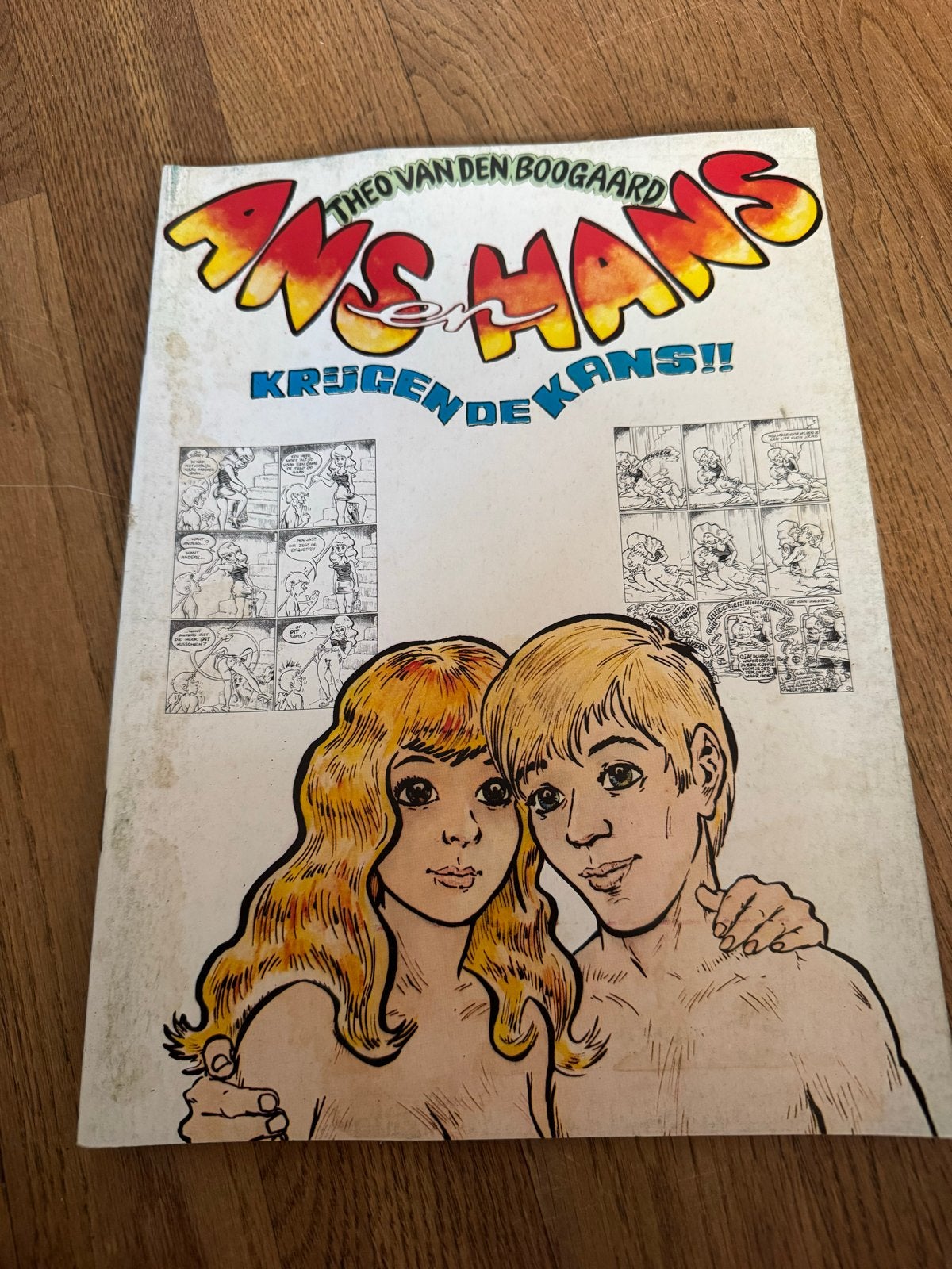 Ans en Hans Kregen de Kans! - Theo van den Boogaard, Boeken, Stripboeken, Eén stripboek, Ophalen of Verzenden, Gelezen