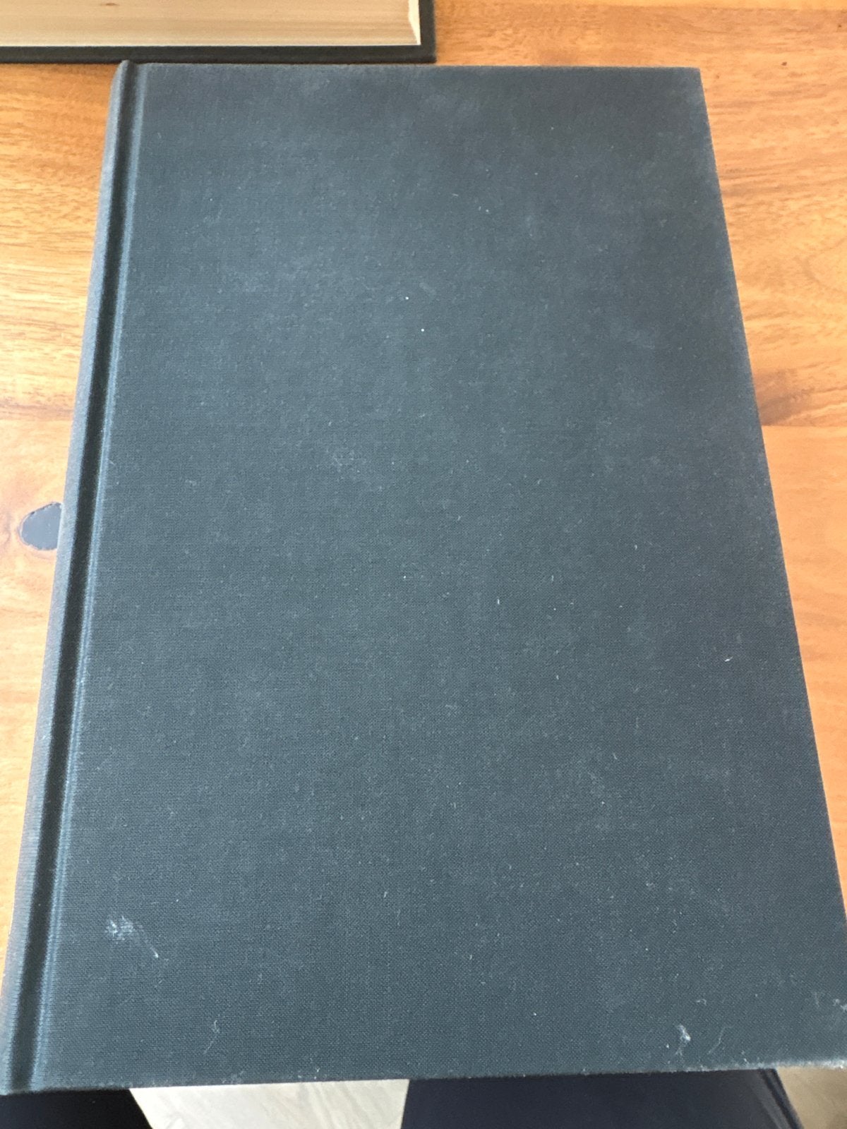 Hans Lodeizen Biografie - Koen Hilberdink, Ophalen of Verzenden, Zo goed als nieuw, Overige