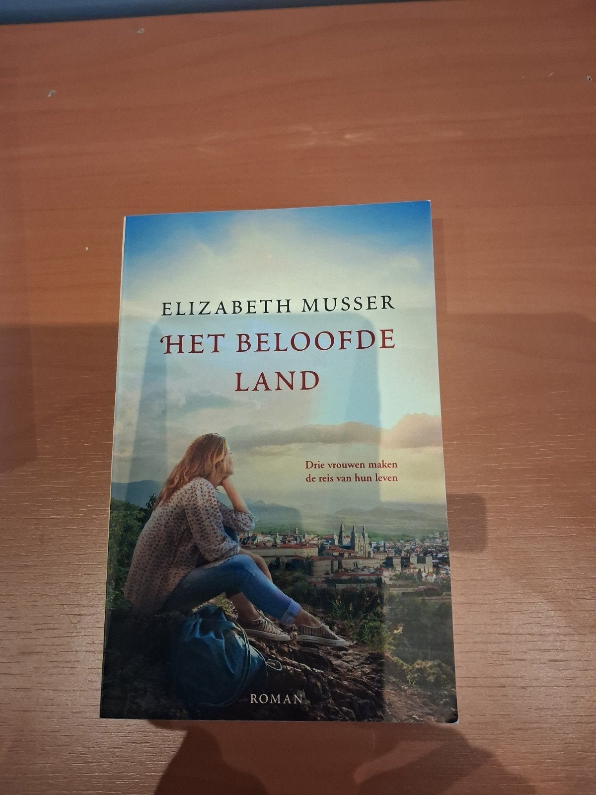 Het beloofde land, Elizabeth Musser, Ophalen of Verzenden