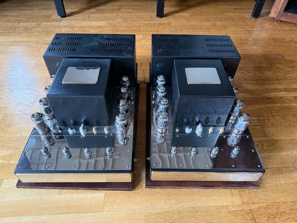 Convergent Audio Technology CAT JL1 mono, Audio, Tv en Foto, Buizenversterkers, Ophalen, Versterker