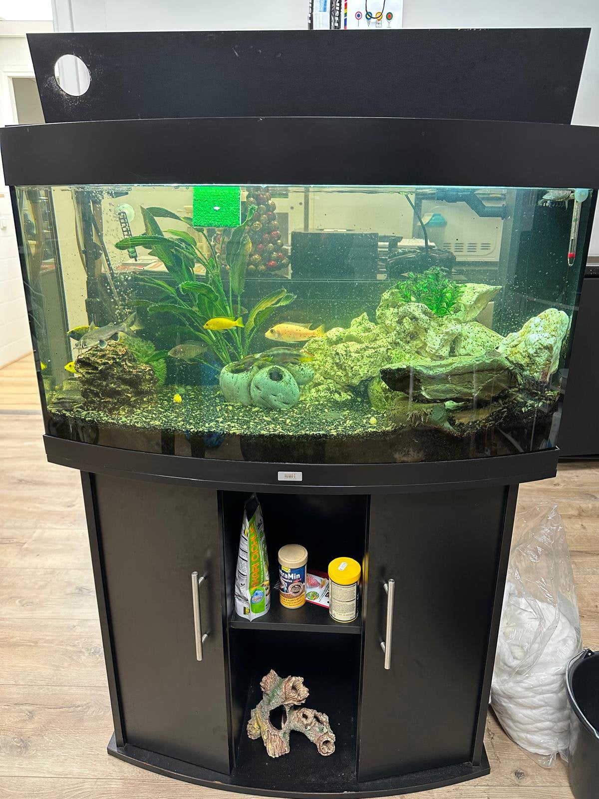 Juwel 180 liter aquarium alles er op en er aan, Ophalen, Inclusief vissen, Juwel, Gevuld zoetwateraquarium