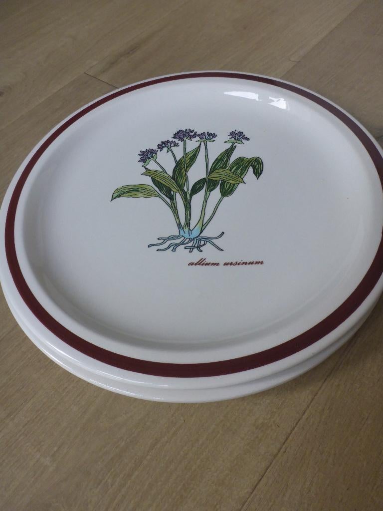 2 grote borden, castellania ceramica., Ophalen of Verzenden, Zo goed als nieuw, Bord(en), Overige stijlen
