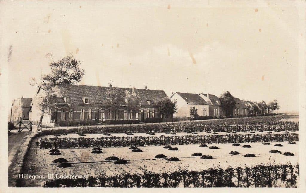 JP383 Hillegom Loosterweg ca 1940, Verzenden, 1920 tot 1940, Gelopen, Zuid-Holland