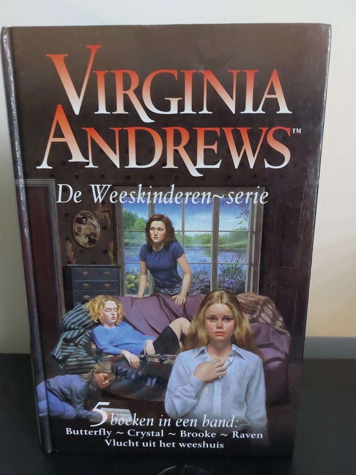 Virginia Andrews De Weeskinderen, Casteel serie, Boeken, Ophalen of Verzenden, Gelezen, Virginia Andrews, Nederland
