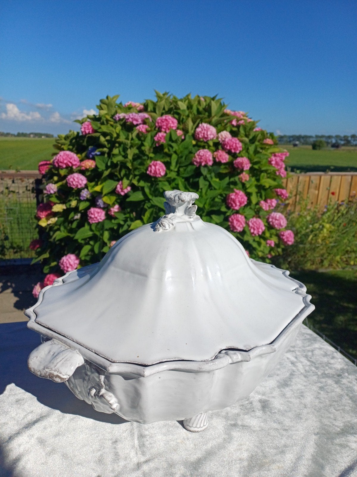 Astier de Villatte Regence Dekschaal Collection Regards €295, Ophalen, Keramiek, Overige stijlen, Schaal of Schalen