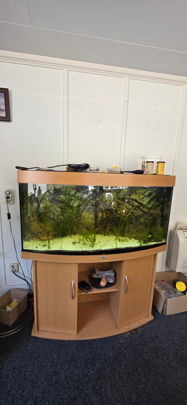 Juwel Vision 260 aquarium incl. meubel, Ophalen, Leeg aquarium