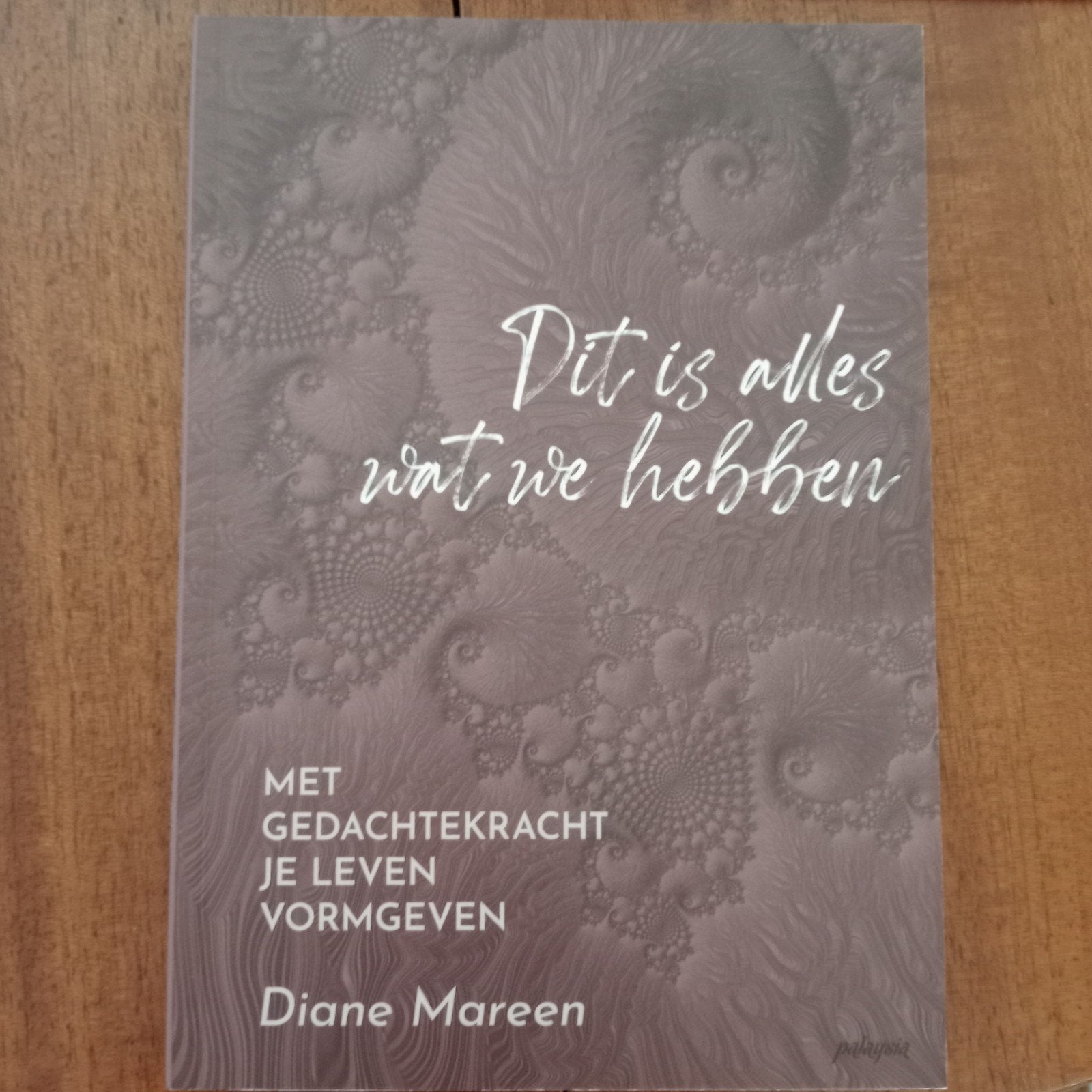 Aedith Hagenaar - Dit is alles wat we hebben, Achtergrond en Informatie, Aedith Hagenaar; Diane Mareen, Ophalen of Verzenden, Zo goed als nieuw