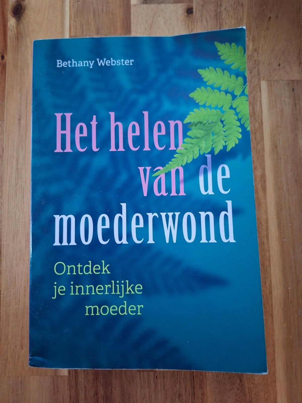 Bethany Webster - Het helen van de moederwond, Ophalen of Verzenden, Zo goed als nieuw, Bethany Webster