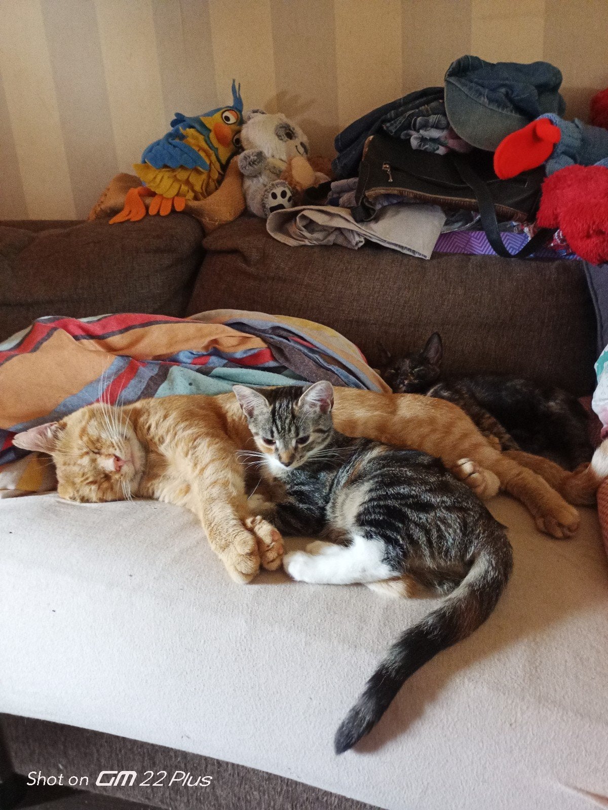 Lieve kleintjes met eigen willetje