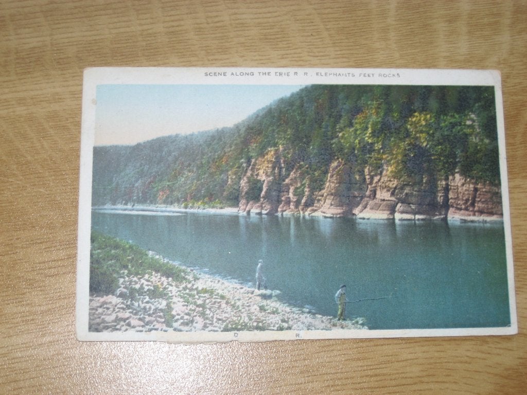 Niet gelopen ansicht scene along the erie rr Elephants feet, Ophalen of Verzenden, 1920 tot 1940, Ongelopen, Buiten Europa