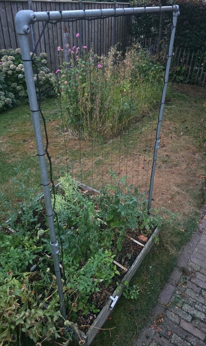 Klimrek voor Makkelijke Moestuin bak (120x200cm), Tuin en Terras, Planten | Tuinplanten, Ophalen of Verzenden, Volle zon