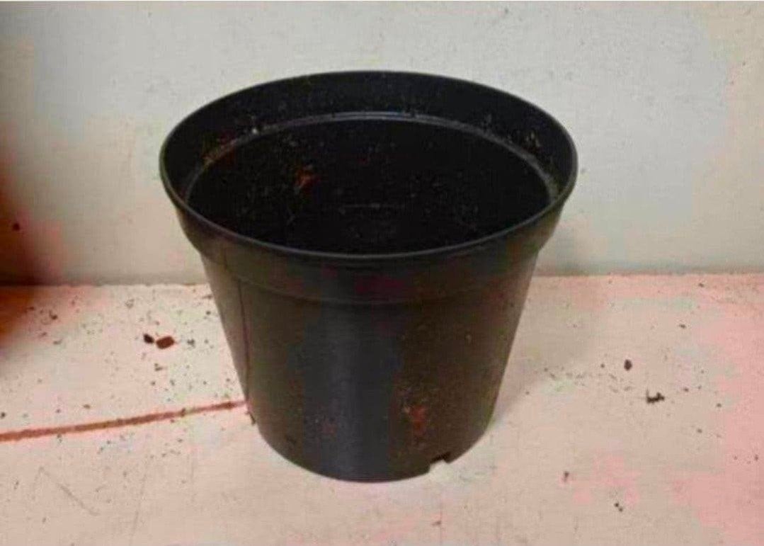 kweekpotten plantenpotten bloempotten 2 liter, Kunststof, Gebruikt, Rond, Ophalen of Verzenden
