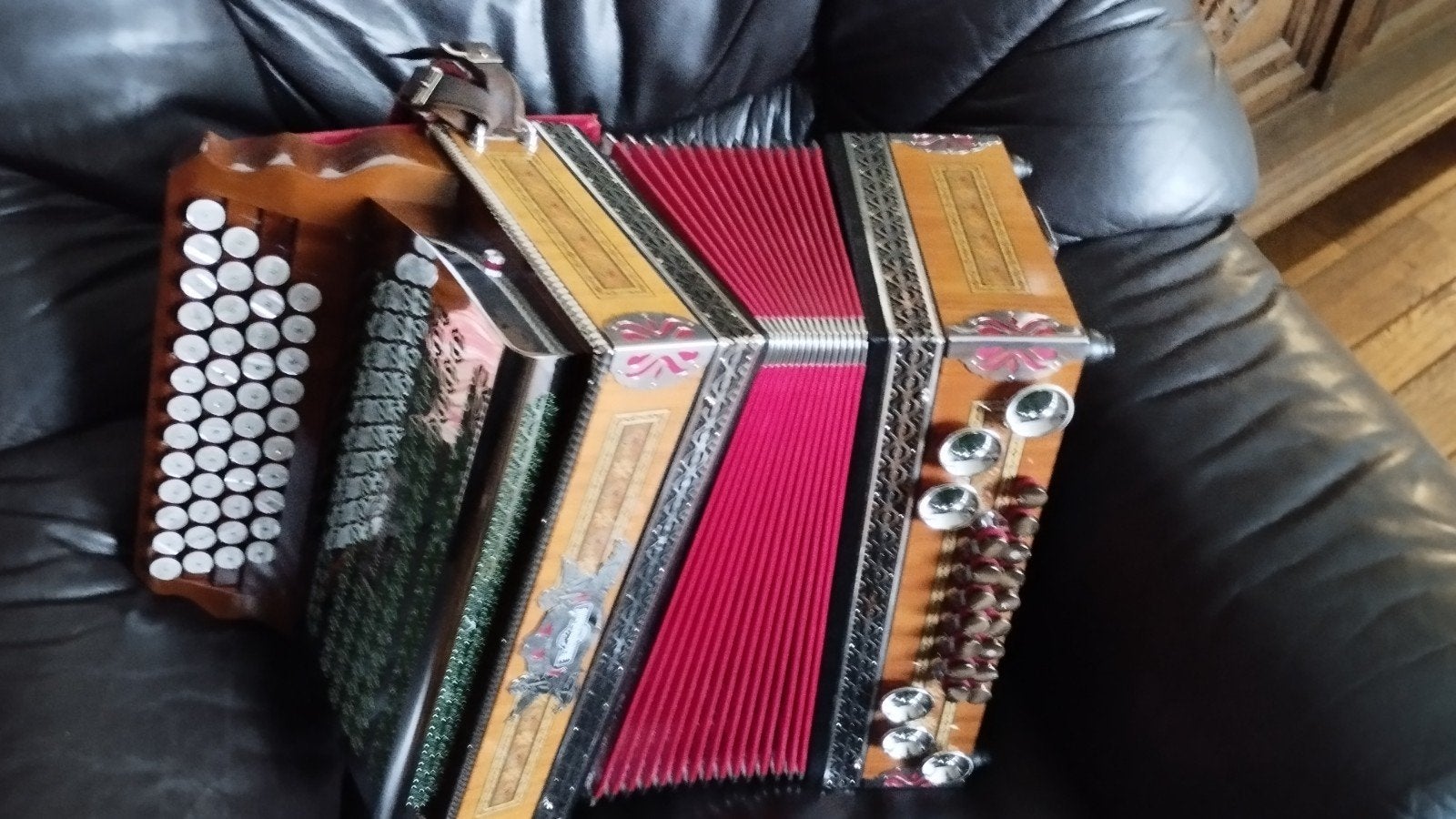 Te koop mooie steirische harmonika, Met koffer, Zo goed als nieuw, Knopaccordeon, Ophalen