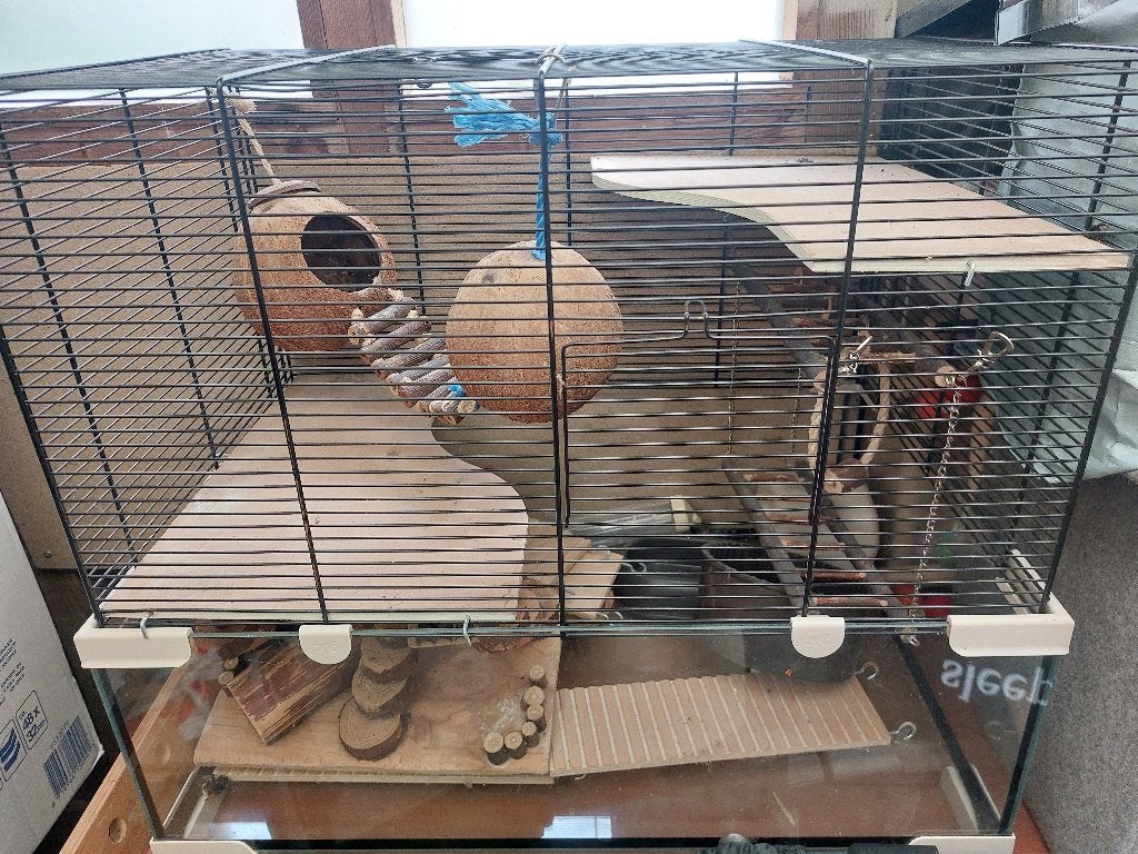 Hamsterkooi, Kooi, Minder dan 75 cm, Ophalen, Minder dan 60 cm