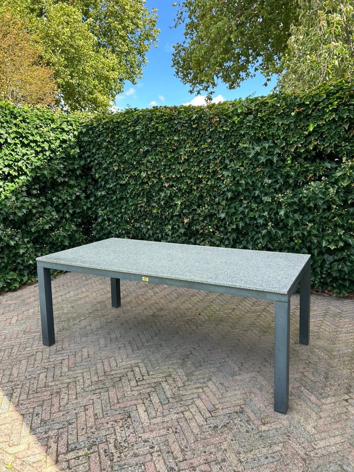 tuintafel 200x100x175cm, Ophalen, Zo goed als nieuw, Rechthoekig, Overige materialen