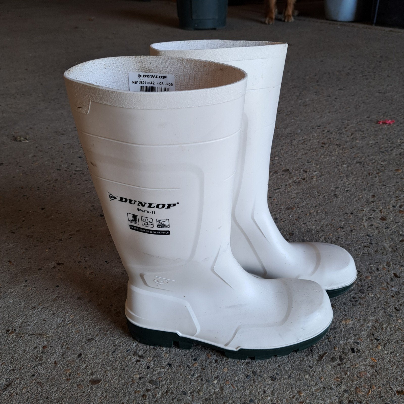 Dunlop Veiligheidslaarzen S4 met Stalen Neus - Maat 42, Ophalen of Verzenden, Nieuw