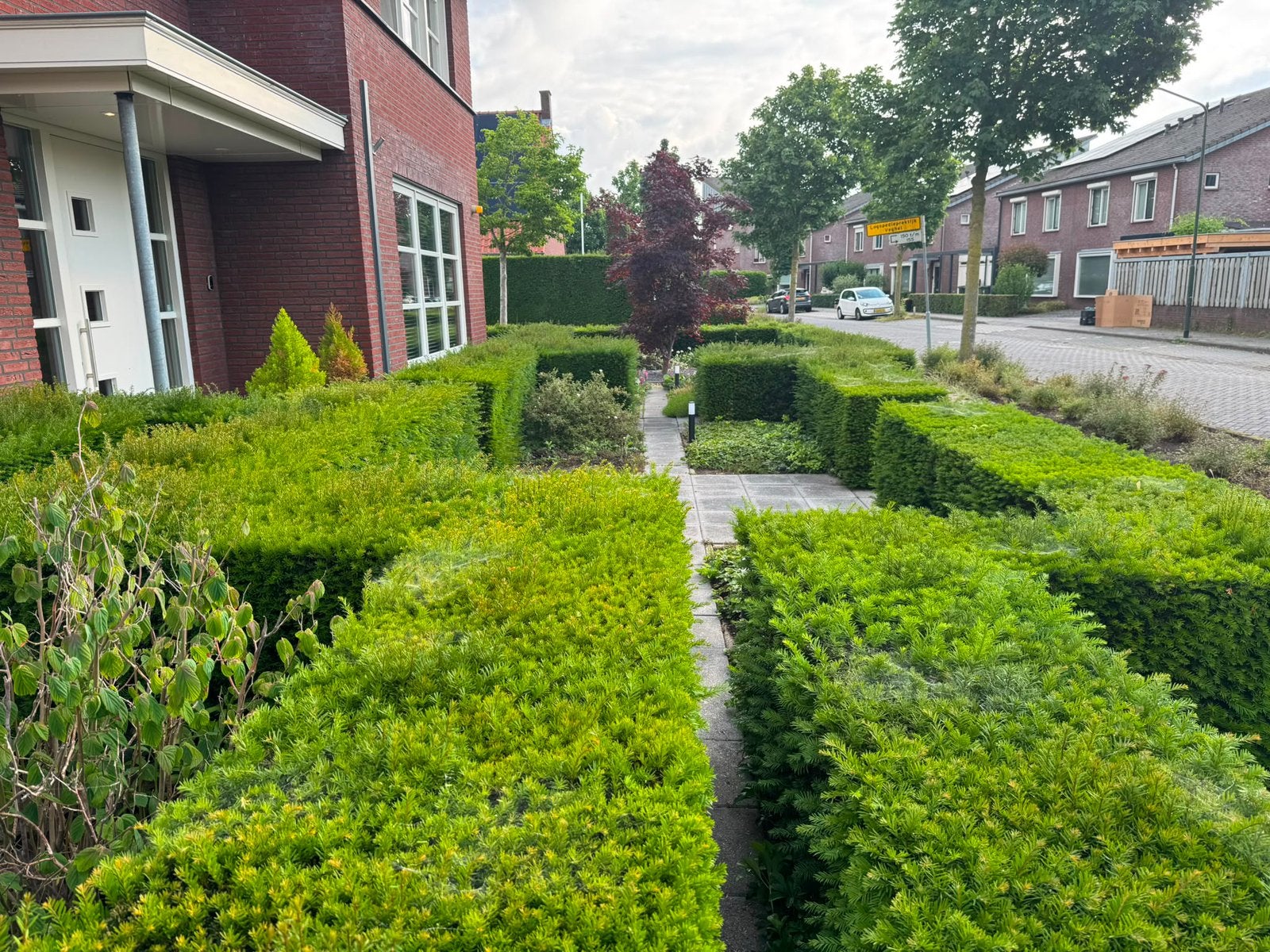 Tuinman aangeboden, Tuinonderhoud of Snoeiwerk