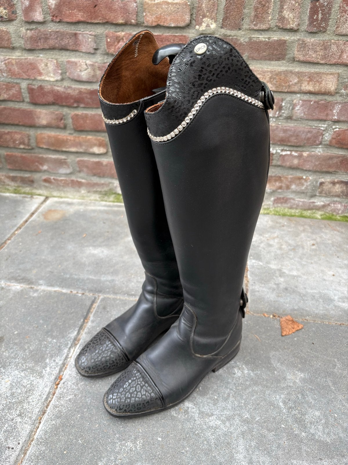 Lipica laarzen panterprint, Ophalen of Verzenden, Gebruikt, Dressuur
