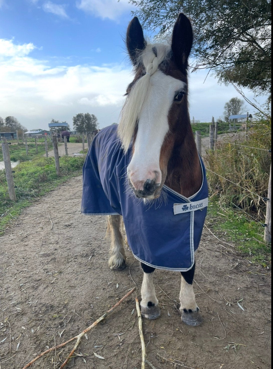 Bucas 140 75” 6’3 turnout light (0gram) - blauw, Ophalen of Verzenden, Zo goed als nieuw