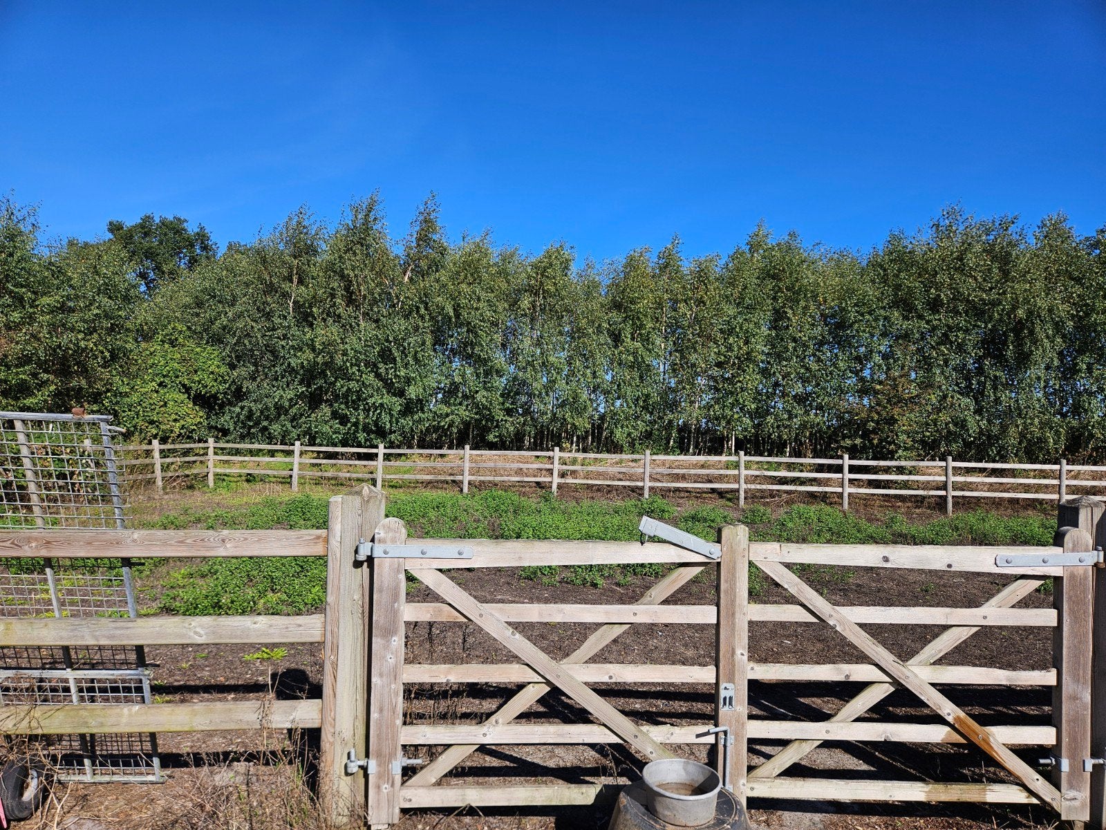 paardenbak omheining ongeveer 100 meter met hek