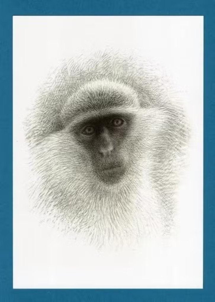 Pentekening Groene Meerkat Malta door Theo Zwinderman., Ophalen of Verzenden, Zo goed als nieuw