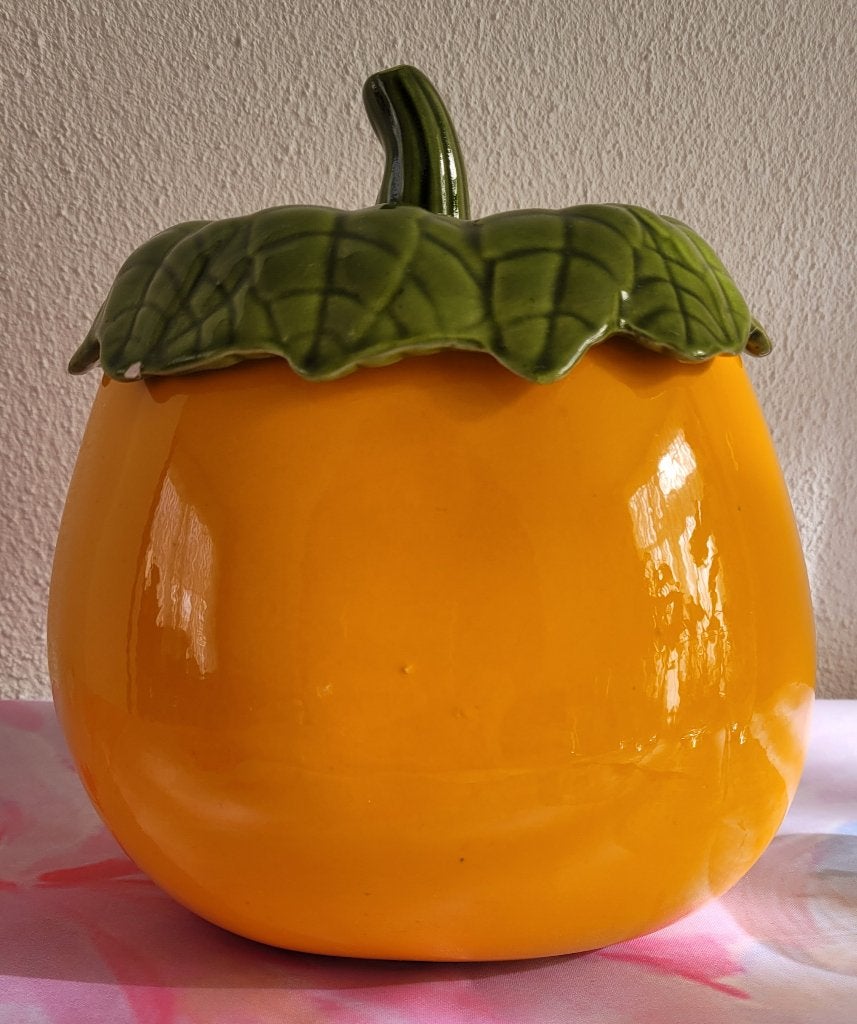 Voorraadpot, Ophalen of Verzenden, Zo goed als nieuw, Voorraadpot, Steen/keramiek
