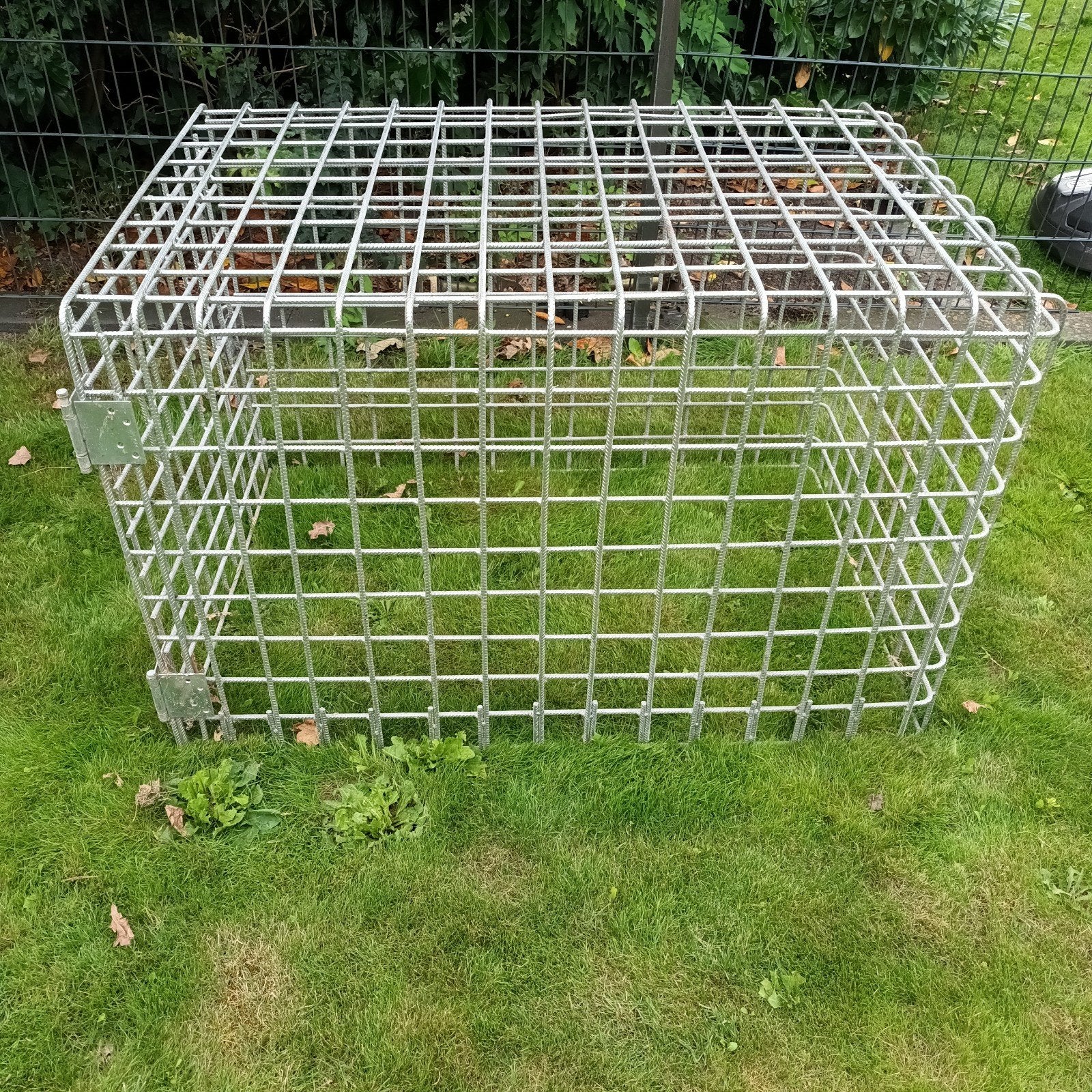 konijnen Ren  ( Gegalvaniseerd  ), Ophalen of Verzenden, Ren, Cavia