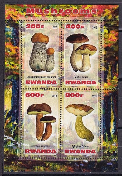 Rwanda Paddenstoelen 2013 postfris (62), Ophalen of Verzenden, Postfris, Dier of Natuur